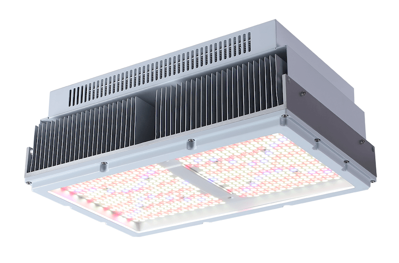 cannabis grow lights sinostar lighting manufacturer china (2)