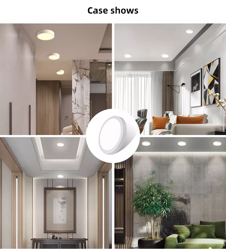 surface mount ceiling downlight slim panel light led manufacturer factory sinostar sino star 4