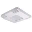 LED Canopy Lights