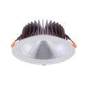 LED Down Lights