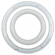 LED circular tube CC 12W