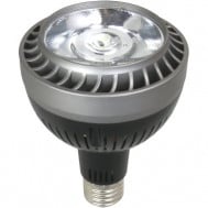 LED PAR30 COB 30W