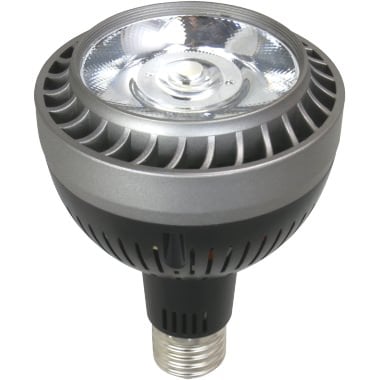 LED PAR30 COB 30W