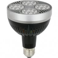LED PAR30 SMD 35W