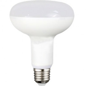 LED bulbs R